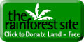 Preserve Our Rainforests